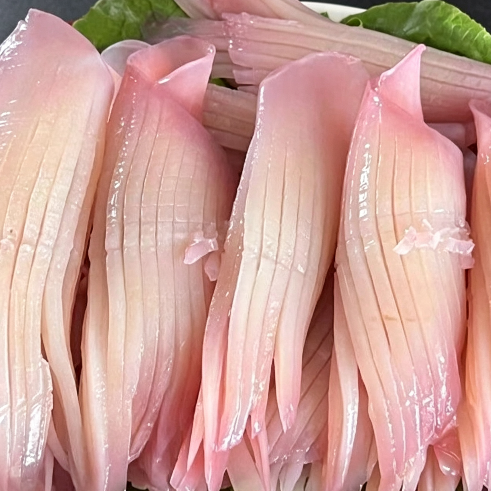 Fresh Cuttlefish