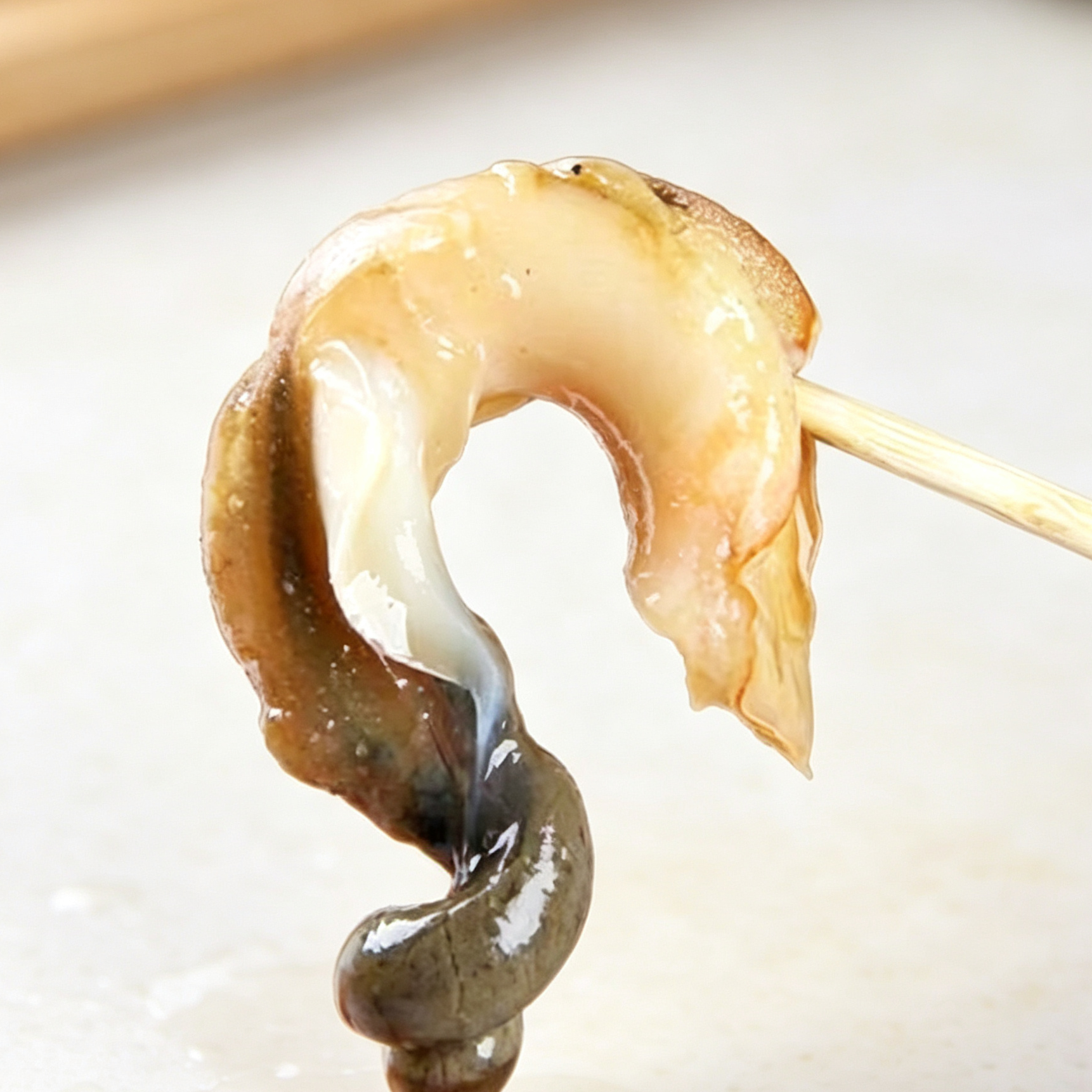 Fresh Spotted Babylon Snail